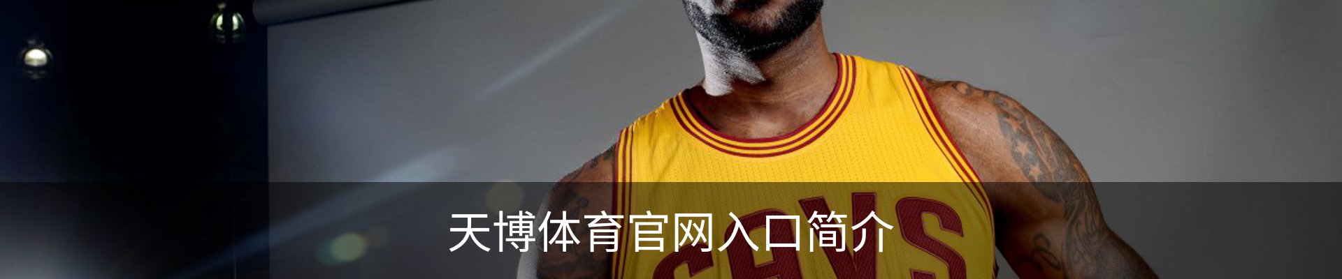 天博体育官网入口简介